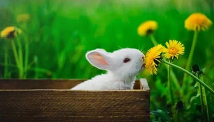 熊猫体育网页版-杨瀚森不断挑战自我突破身体极限，杨瀚森 篮球