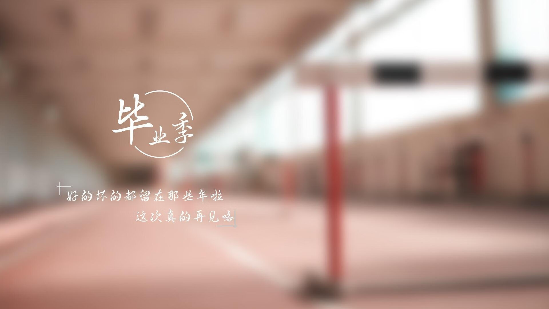 国家跳水队新秀表现抢眼，教练组寄予厚望，国家跳水队现任教练员