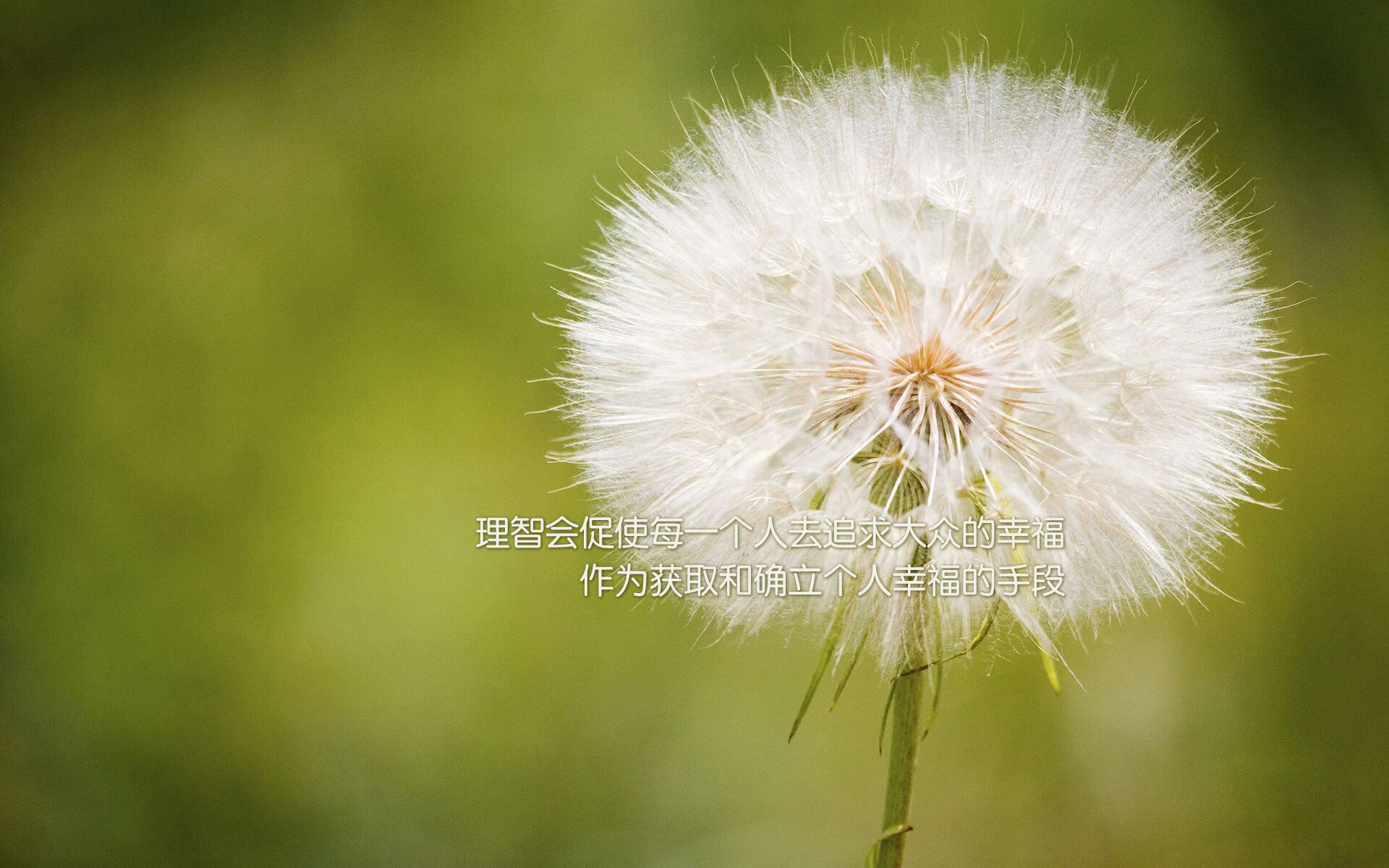 南安普顿球迷期待球队在英超立足，英超南安普顿外号