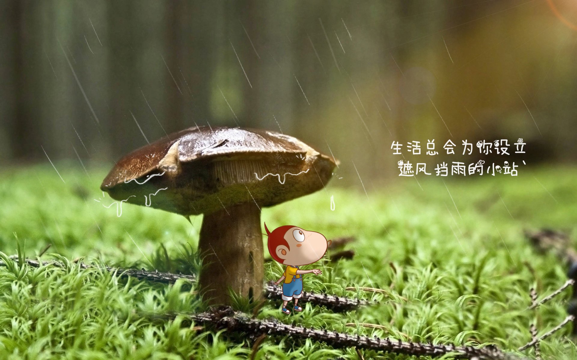 女排超级联赛打响，上海女排直落三局取首胜，女排联赛 上海